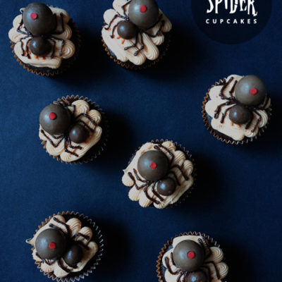 Spider Cupcakes | Little White Whale | Craft Collector