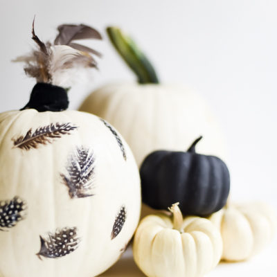 Feather Pumpkin | Place of My Taste | Craft Collector